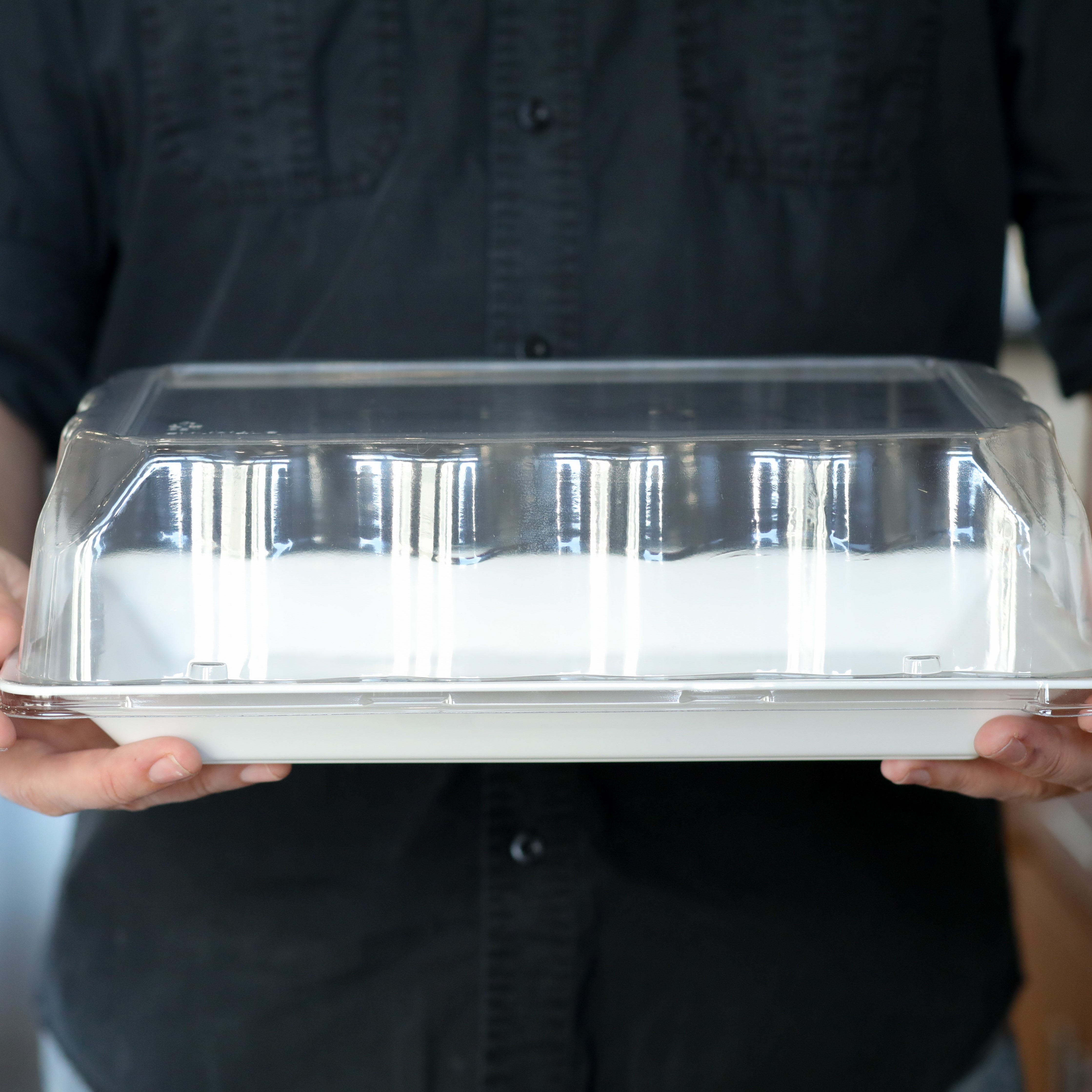 Party Tray 10" x 14" Rectangle Dome Lid