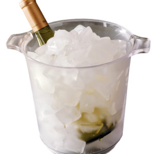 Party Tray 64oz Ice Bucket